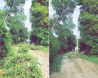 A Better Cut Tree Service - Landscaping & Tree Services Coralville, IA A Better Cut Tree Service - Landscaping & Tree Services Coralville, IA