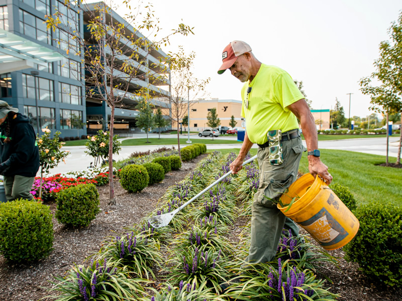 commercial landscaping services  commercial landscaping