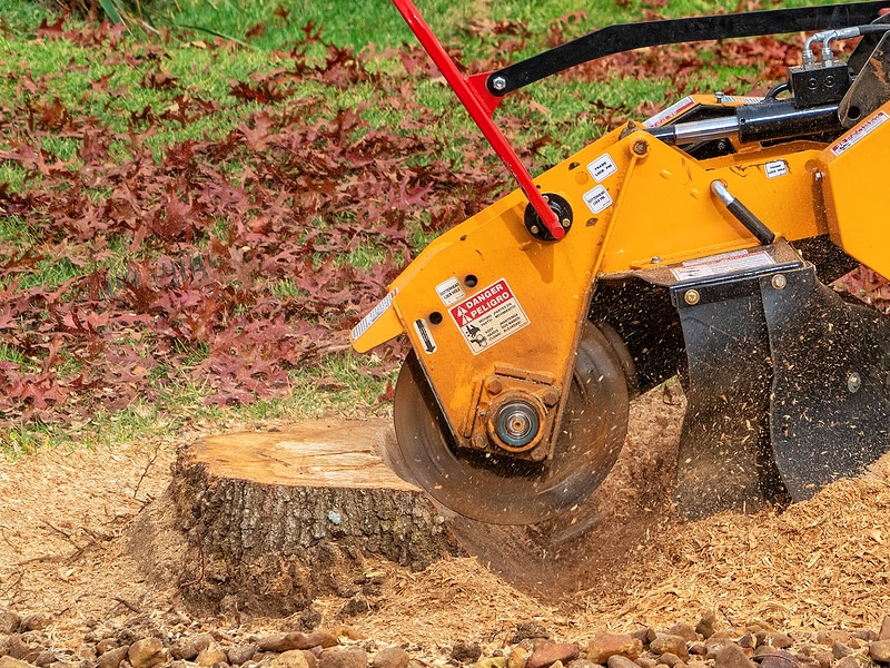 tree stump removal services  tree stump removal