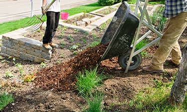 A Better Cut Tree Service - Landscaping & Tree Services Coralville, IA