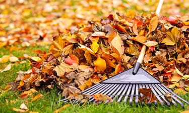 A Better Cut Tree Service - Tree Service & Landscaping in Iowa CIty & Surrounding Areas