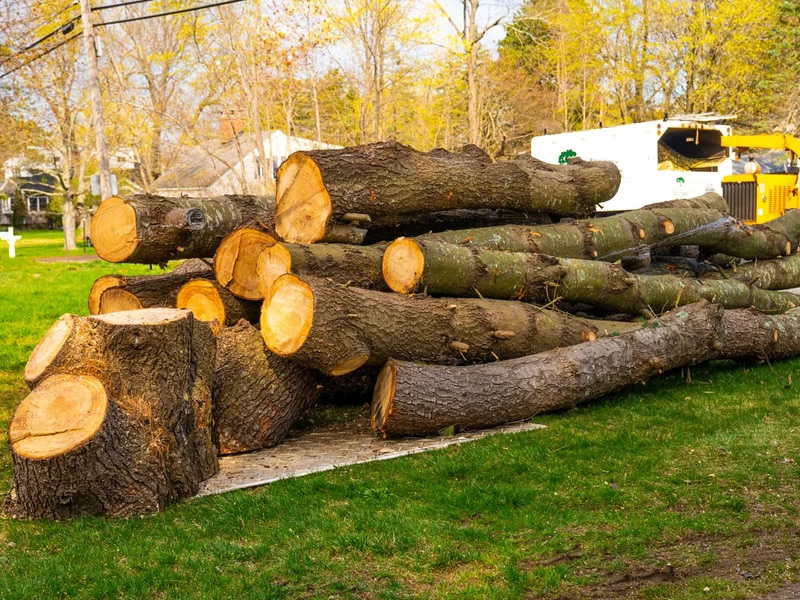 A Better Cut Tree Service - Tree Service & Landscaping in Iowa CIty & Surrounding Areas
